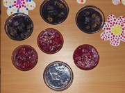 Výukový program o vodě a  hygieně + výroba přírodního mýdla